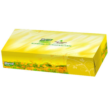 Marcal® Paper Fluff Out® 2-Ply Facial Tissue